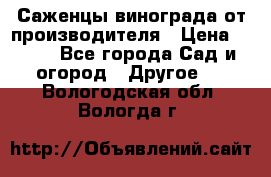 Саженцы винограда от производителя › Цена ­ 800 - Все города Сад и огород » Другое   . Вологодская обл.,Вологда г.